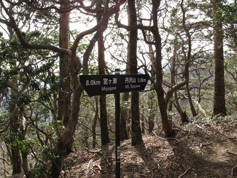 20190108hike (294)